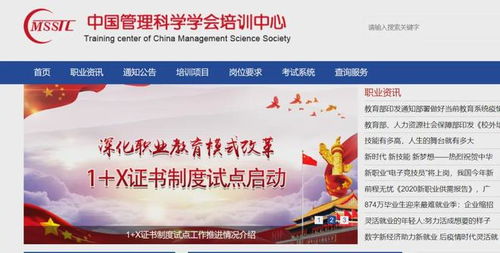 跨界融合 从心理危机干预指导师到软件开发的学习之旅